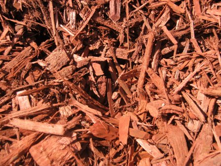 Red Dyed Mulch